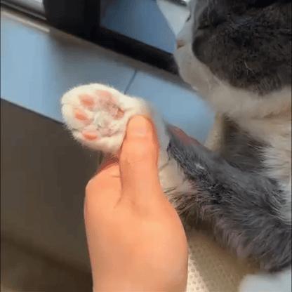 Patino™ Sessiz Kedi Pati Tıraş Makinesi